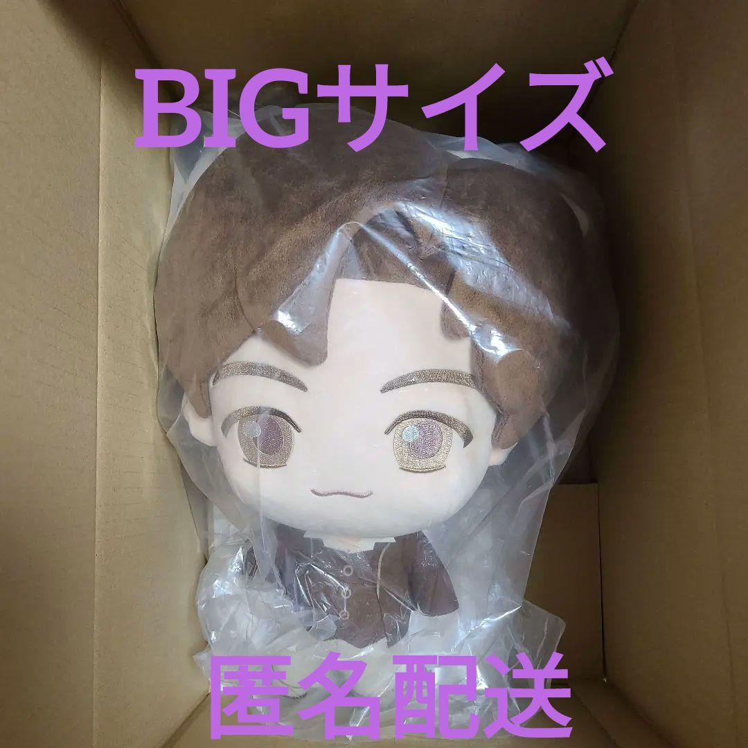 

[Б/У] BTS TinyTAN FUN PARK Nanjatown Кошачьи ушки Большой