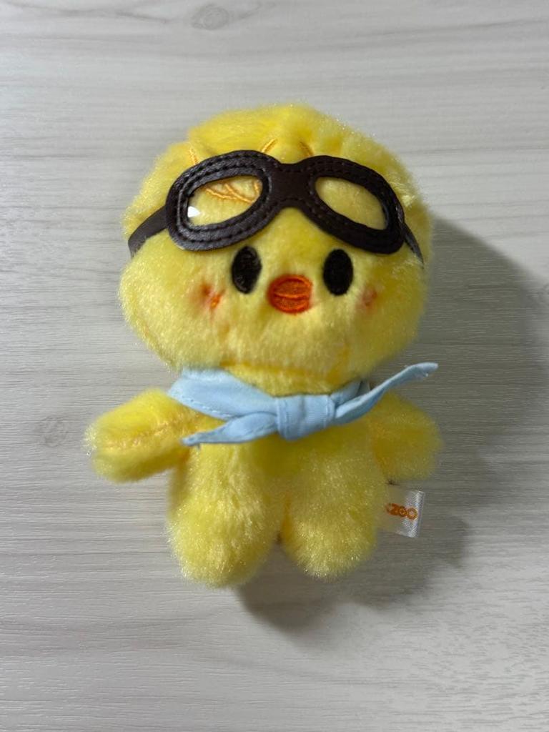 [USED] Straykids PILOT Bbok Ari Felix