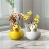 Cute Succulent Plant Flowerpot Handicraft Animal Ornament Vase Hydroponic Flower Holder  Bedroom