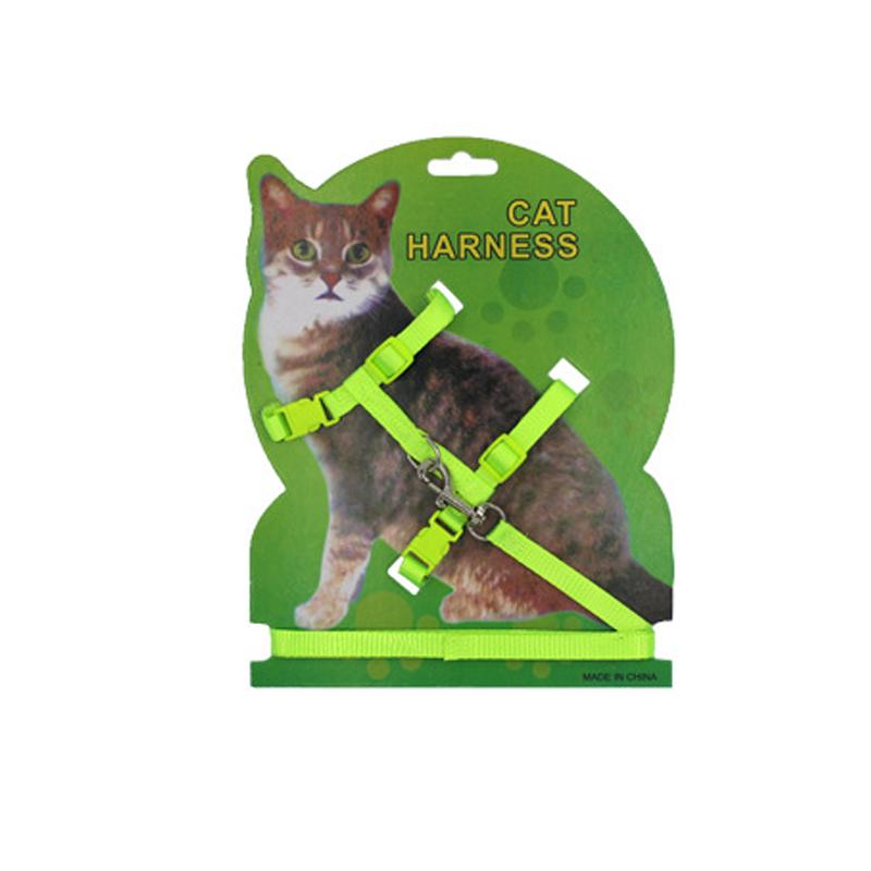 kitten collar and leash