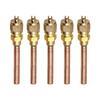 Efficient 6mm Copper HVAC ServiceAccess Valve Stem Core Refrigeration Check Fluoride Nozzle for Quick Installation