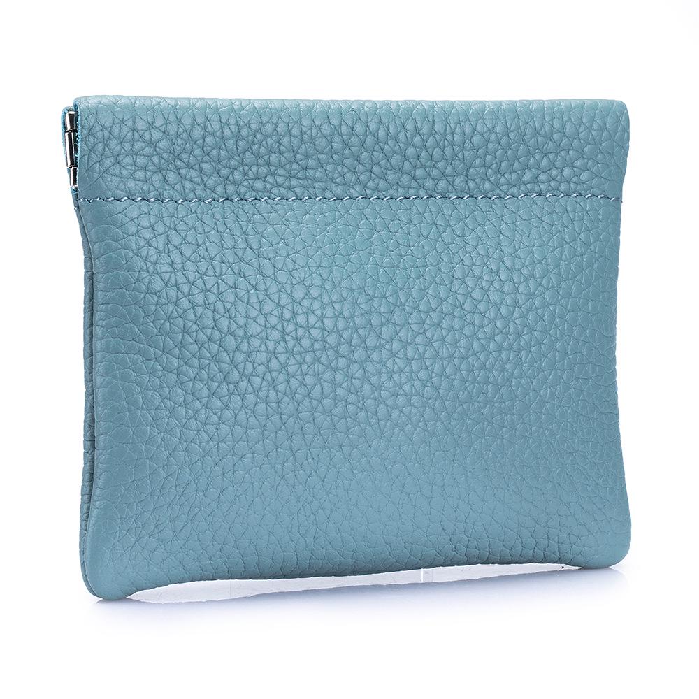 Damen Mini Leder Federclip Geldbörse - Aufbewahrungstasche für Kopfhörer und Münzen