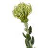 Hill Interiors Pincushion Protea Spray Artificial Flower