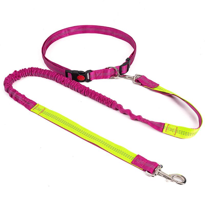 Empty Shell Weight Carrying Strap Vest with Pockets Muscle Training Kit Dogo Argentino American Pit Bull Large Canine K9 Jacket