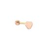 Heart 14k Gold Earrings LPFH2066G