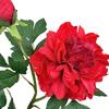 Artificial Peony Flower, Realistic 2 Heads Faux Peony with 1 Bud, 29.9" Fake Peony Bouquet with Stem for Wedding Centerpiece, DIY Home Table Vase
