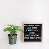 Multifunctional Wooden Letter Message Board Changeable Symbols Home Decorations Felt Letter Board 10x10 Inch Blackboard Home