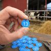 20Pcs ABS Farm Livestock Tags Round Shape Hanging Identification Tags  Animal Tracking