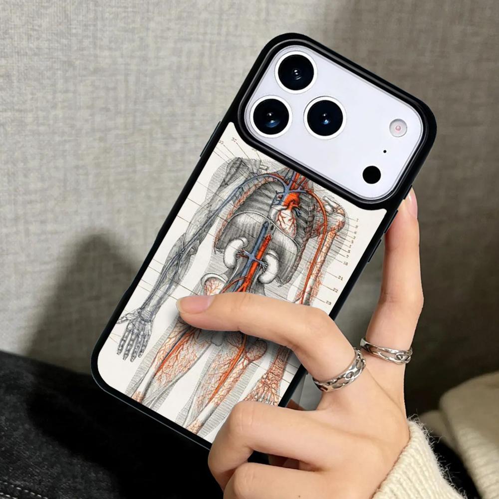 Capa Case for iPhone 17 Air 16 Pro Max 15 Plus 11 13 Mini 14 12 Back Phone Cover Radiological Human Organs Skeleton