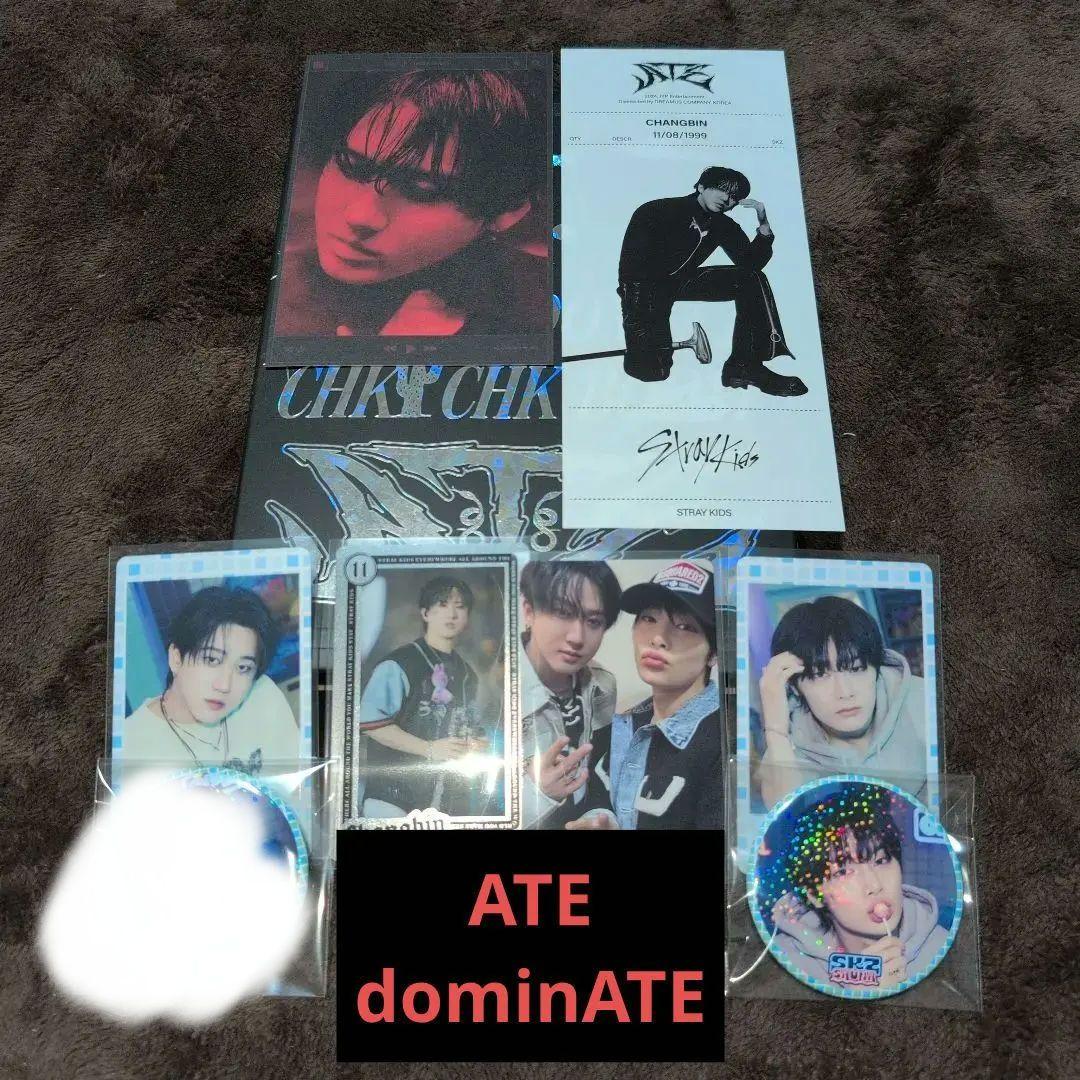 

[USED] Stray Kids Official Trading Card Album Badge Changbin Ien