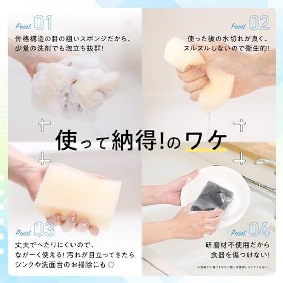 PAX NATURON Kitchen Sponge (Natural Set 5) Dishwashing (Lathering Drainage Durability) Taiyo Yushi