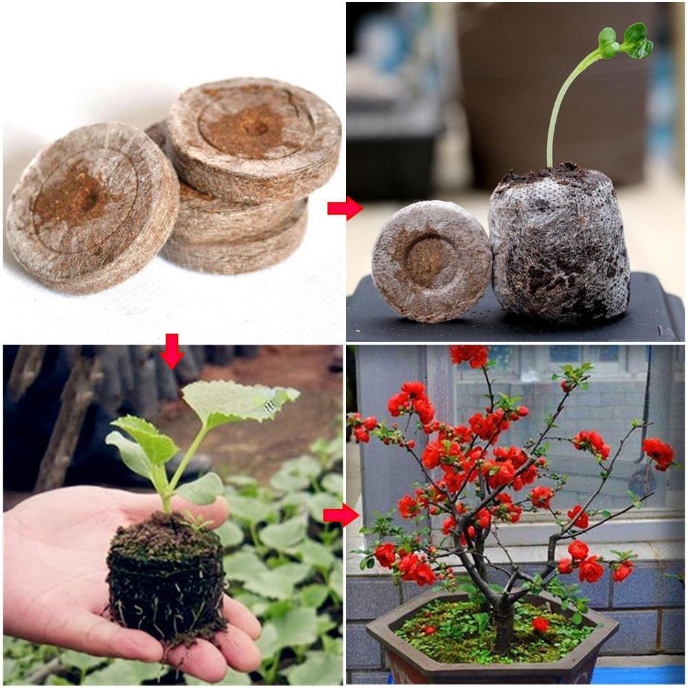 20 Stücke 30mm Garten Blumen Pflanzen Boden Block Runde Torf Pellets Samen