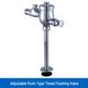 Lexian Manual Urinal Flush Valve