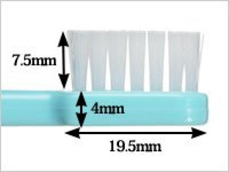 Oral Care Taft 20 Toothbrush Medium 25 pieces M Green