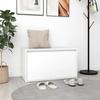 VidaXL Entryway Bench, Storage Seat, Shoe Rack with Seat, Living Room Organizer, 808666