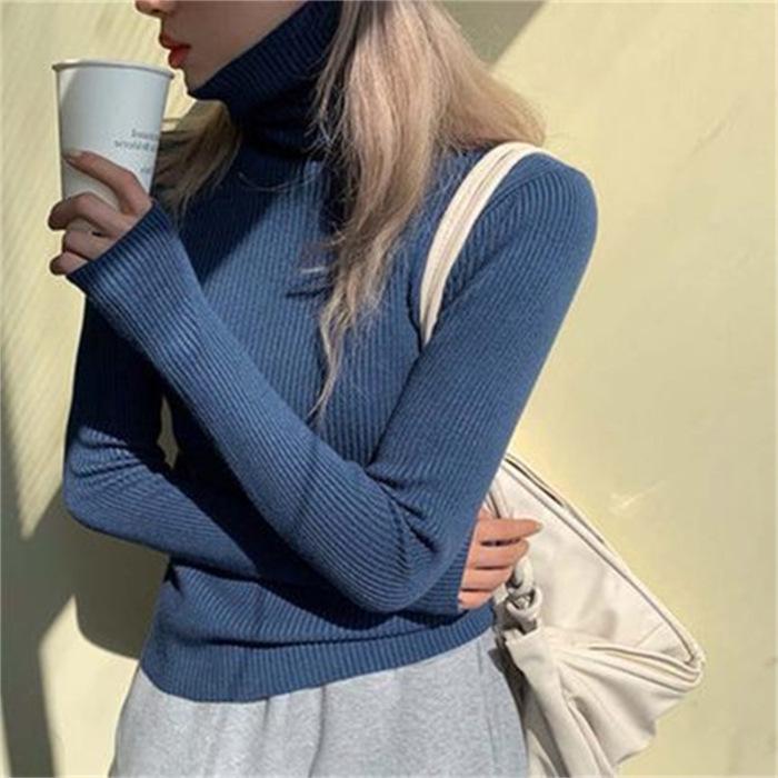 Women's Solid Color High Neck Thumb Hole Turtleneck Sweater - Autumn/Winter Stylish Thick Knit Long Sleeve Base Layer
