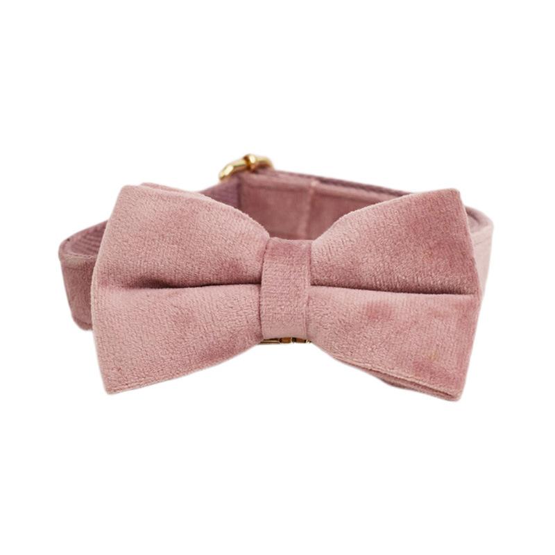 Pet collar dog leash chest back dog chain dog collar pet supplies light purple pink velvet dog collar bow tie XS