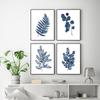 Pressed Blue Wild Flowers Wall Art Canvas Painting Hampton Style Posters Botanical Prints Blue and White Pictures Home Decor