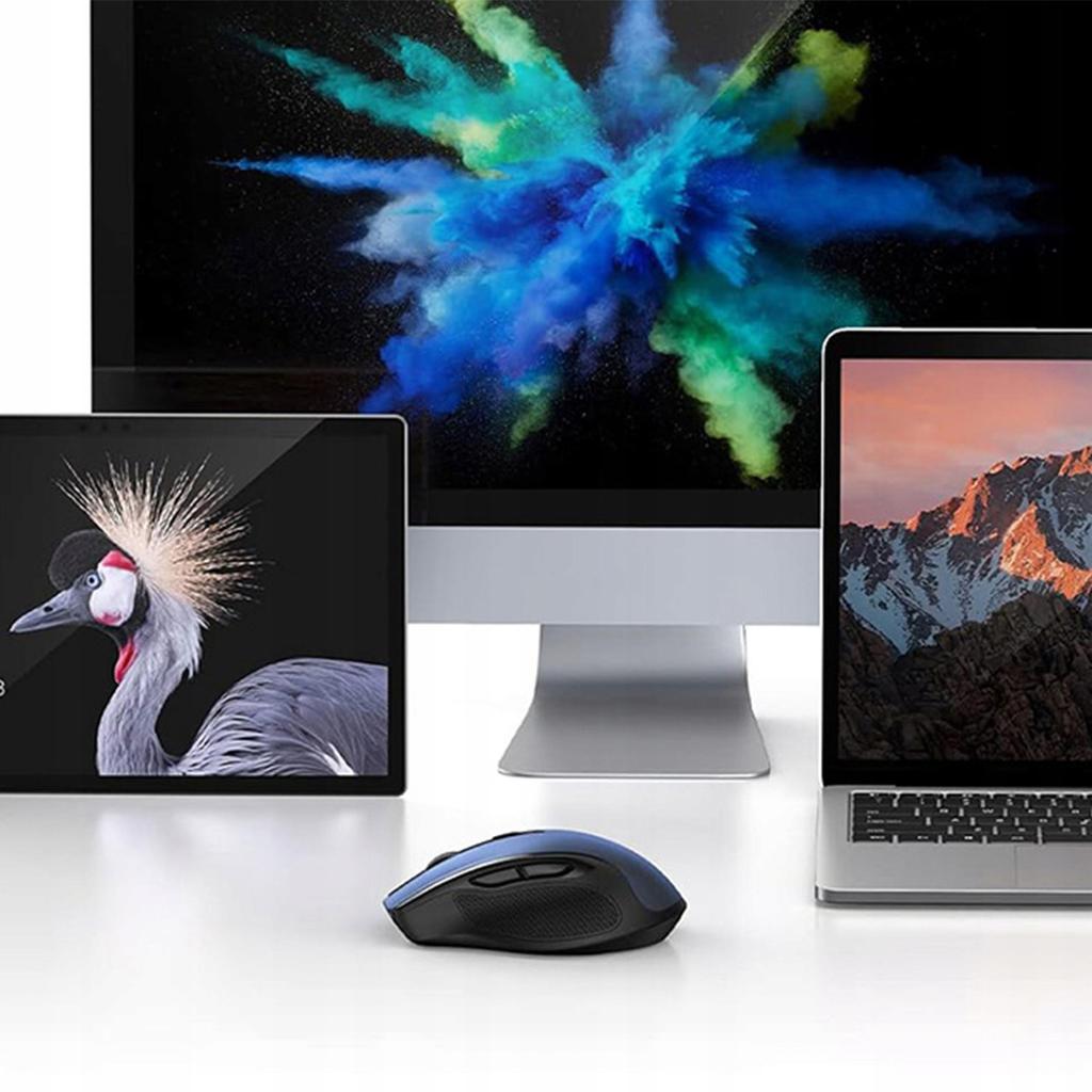 UGREEN MU006 2.4GHz USB Wireless Optical Mouse, High-Precision - 4000 DPI, Blue