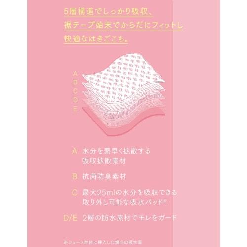 Wing/Wacoal Women's EC7500 Absorbent Sanitary Panties with Removable Absorbent Pads and Leak-Resistant Separate Absorbent Sanitary Panties, Regular Le