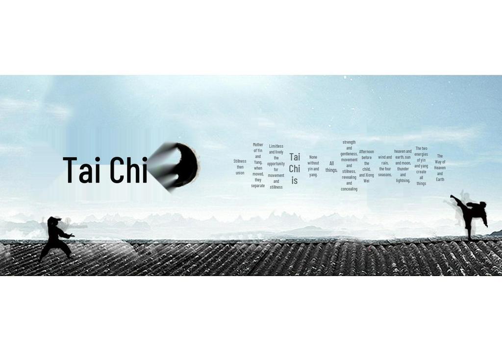Summer Milk Silk Tai Chi Short Sleeve Top for Men and Women - Perfect for Practice, Performance, and Morning Exercise