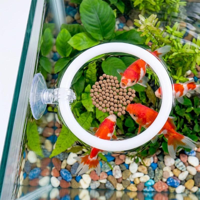 Floating Betta Exercise Rings Heart Mirror Toy Floating Round Rings FishTank Antidepressant Betta Rings