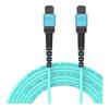 EB-LINK MPO-MPO OM3 Multimode 12-Core Fiber Optic Patch Cable