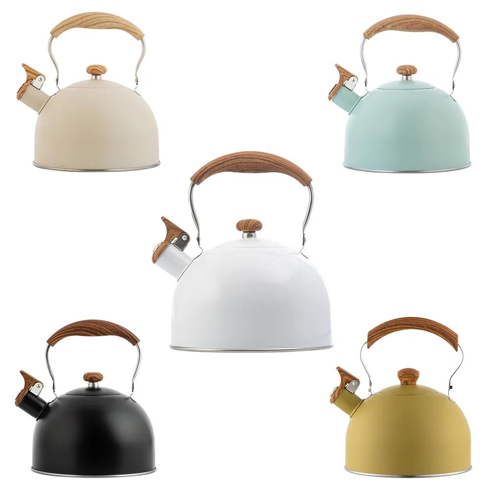 2.5L Electric Tourist Gas Stove Kettle With Whistle Stainless Steel Kitchen Home-appliance Camping Teapot Cookware Cooking Set