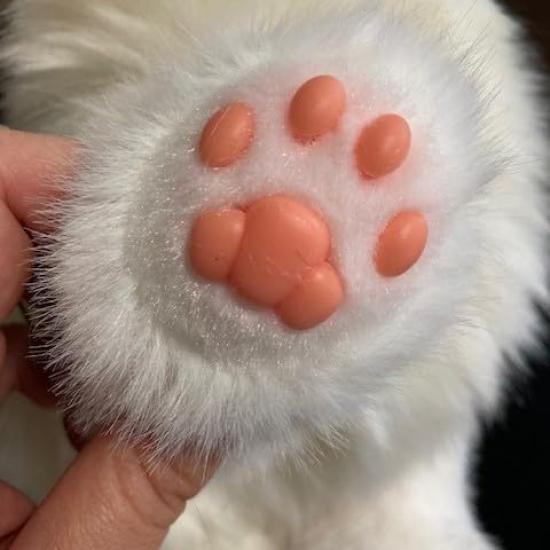 Trendmaster Petting Cat Kitten Ragdoll (Long-haired, white with brown face) [Petting Toy that meows when petted] Realistic Communication Robot