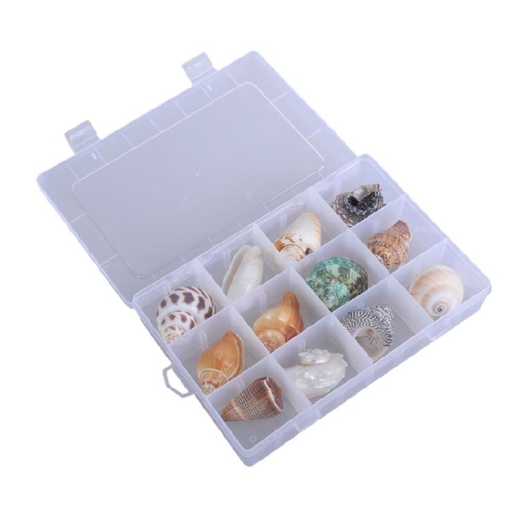 Floating Seashells Display Box Large-capacity Seashells Decorative Storage Box for Home and Beach Decoration