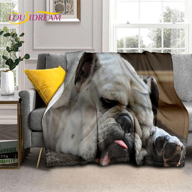Cartoon French Pit Bull Dog Pet 3D Blanket,Soft Throw Blanket for Home Bedroom Bed Sofa Picnic Travel Office Cover Blanket Kids