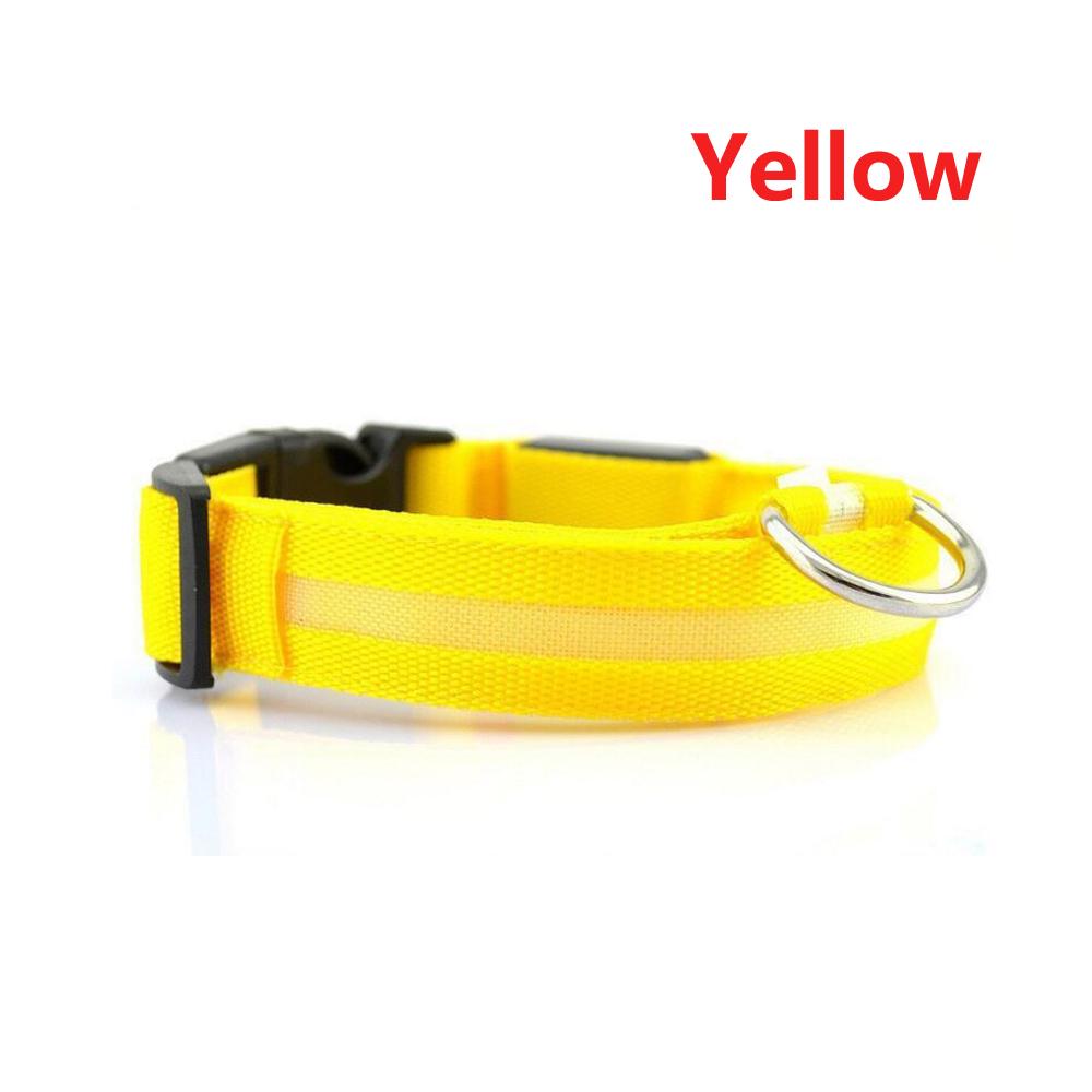 night time dog collars