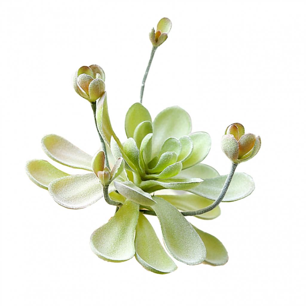 Fleshy Simulated Succulent Flocking Home Plant Flower Head