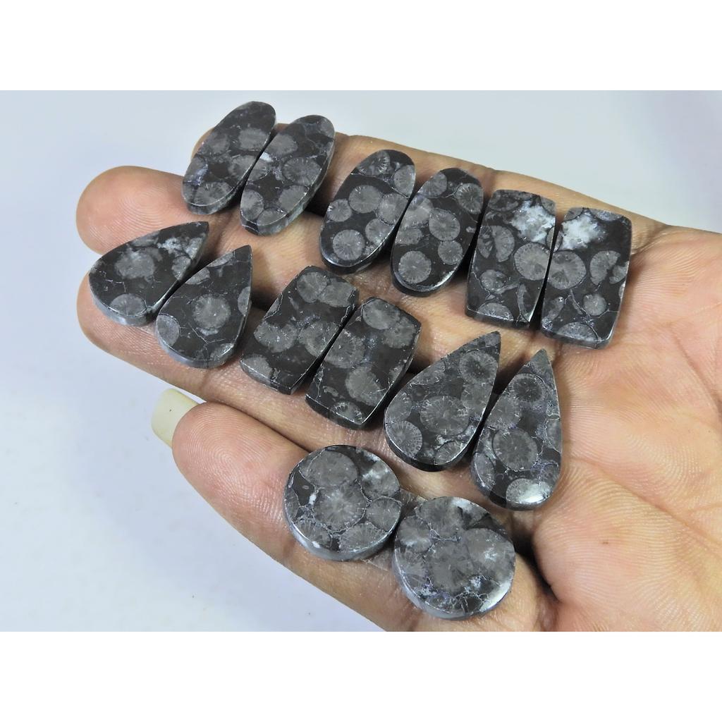 Natural Black Fossil Coral Matched Pair Mix Cabachon Gemstone 07 Pair Lot C-2672