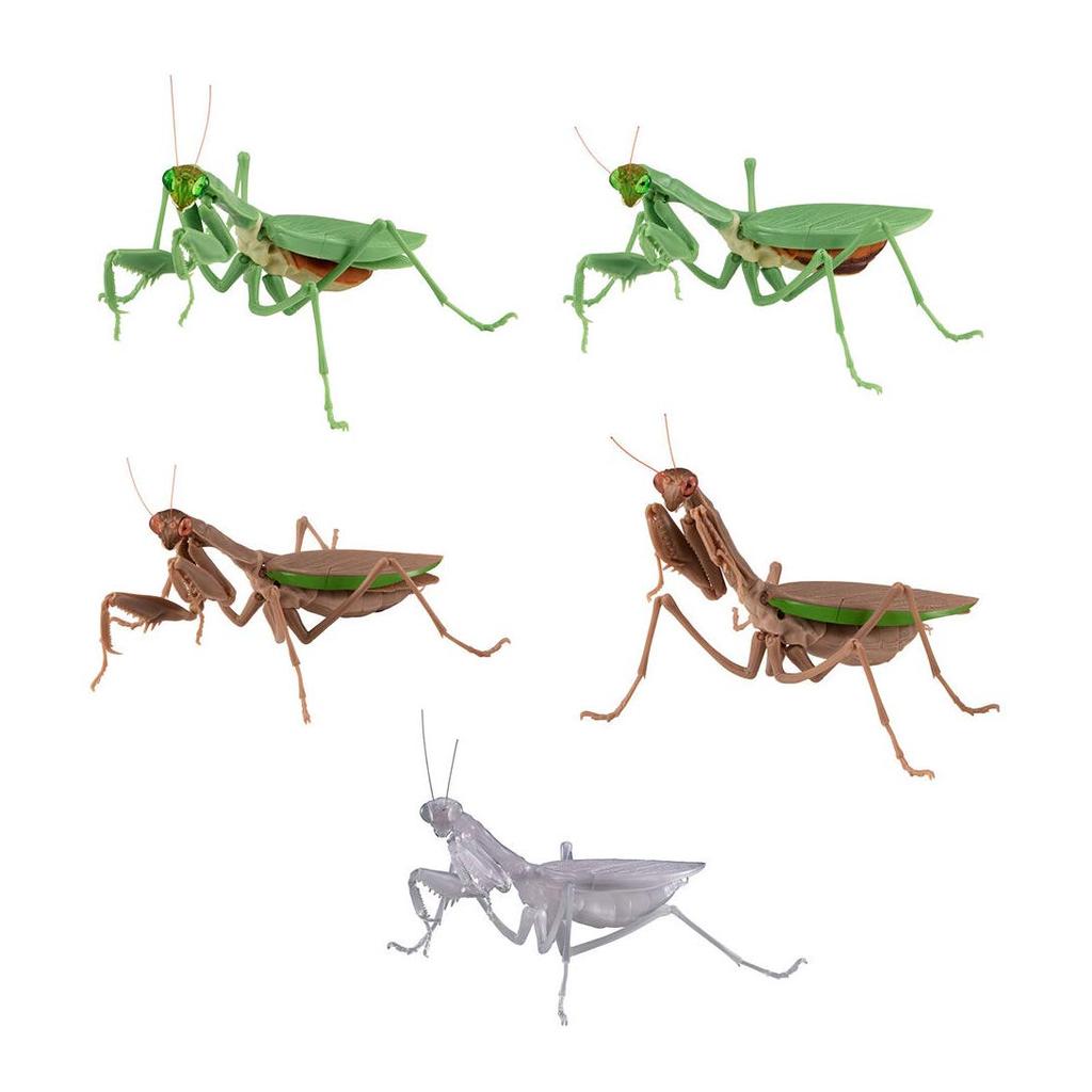 Kamakiri All 5 Types Gacha Gacha