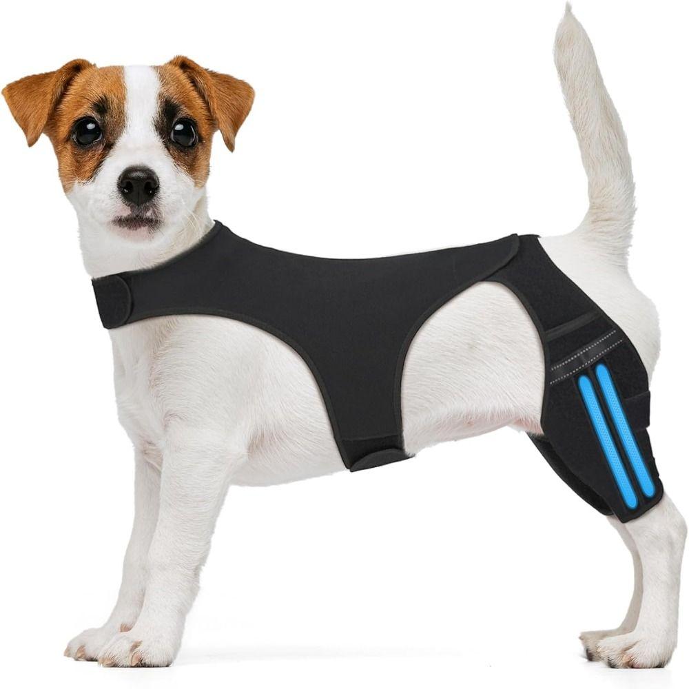 Ginocchiera Regolabile per Cani Supporto Articolare Durevole Staffa di Supporto per la Gamba Design Traspirante Riflettente Protezione per Ferite del Ginocchio dell'Animale Domestico