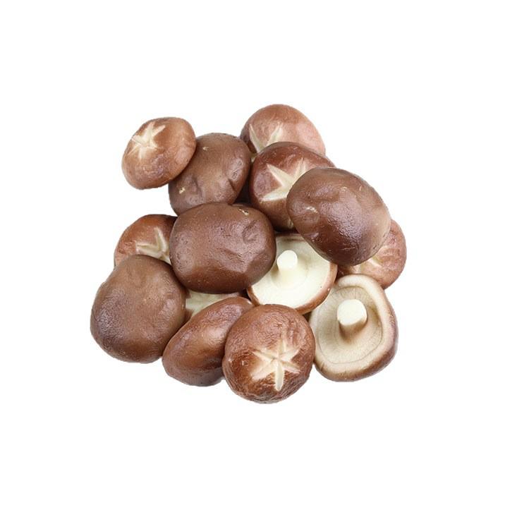 Realistic Shiitake Mushroom Simulation Model - Faux Vegetable Decoration for Photography & Display