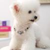 Vêtements et chaussures – Accessoires pour chien