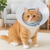 Breathable Pet Protective Collar Bite Resistant Transparent Anti-Bite Collar Anti-Scratch Adjustable Cat Anti Lick Cover