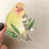 50 Sheets Decorative Sticker Bottle Sticker Reward Sticker Watercolor Bird Graffiti Sticker Decorative Label Sticker