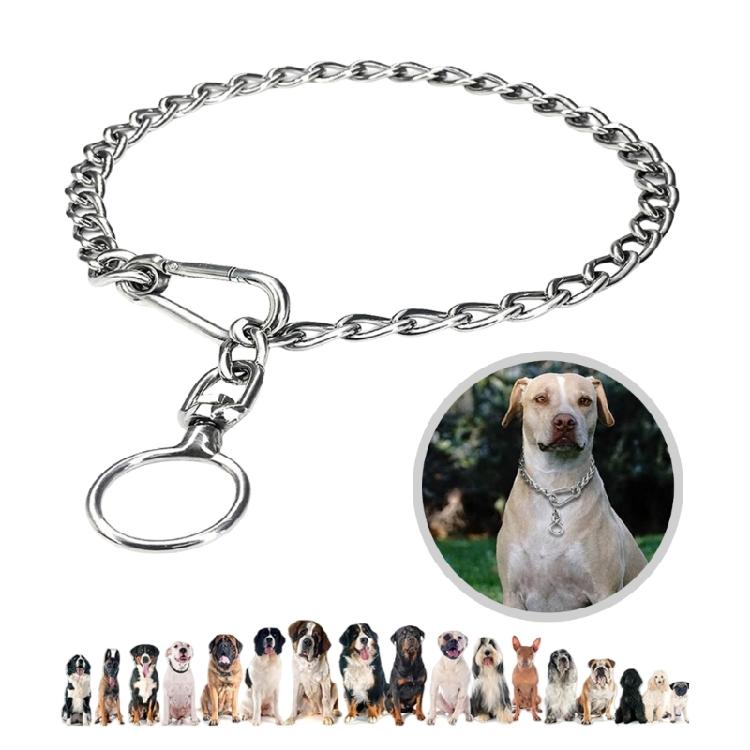 Collare Metallica a Maglie per Cani per Addestramento Passeggiata per Cani Grandi Medi Piccoli