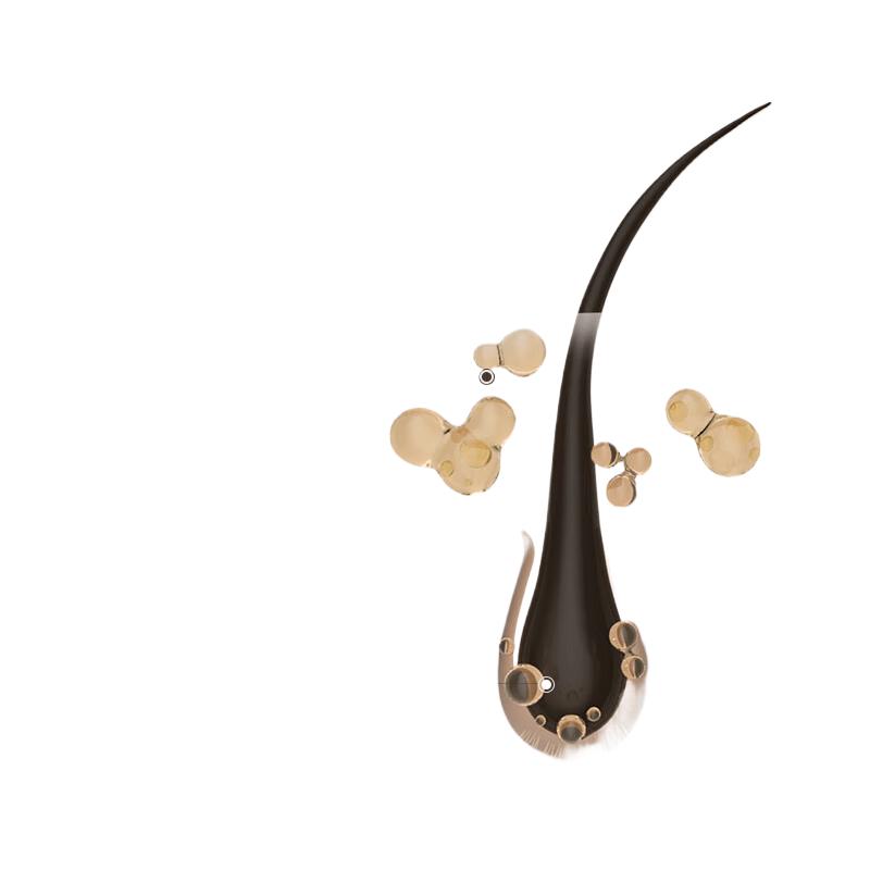 

Baitai Ginger Anti-Hair Loss & Oil Control Shampoo