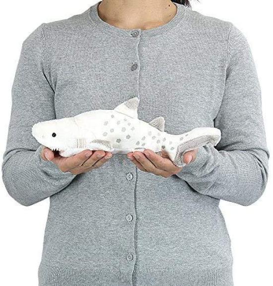 Carolata Grey Shark Plush Toy (SmallSoft Touch) Realistic Shark Sea Creature Animal Toy Doll Gift Present Birthday (Twice Tested)  Christmas Present