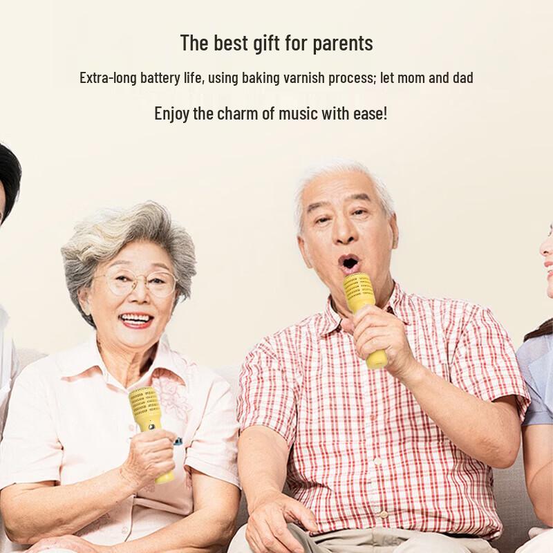 Divoom SongBird-SE Portable Karaoke Microphone & Bluetooth Speaker Set CN Plug (adapter Included)