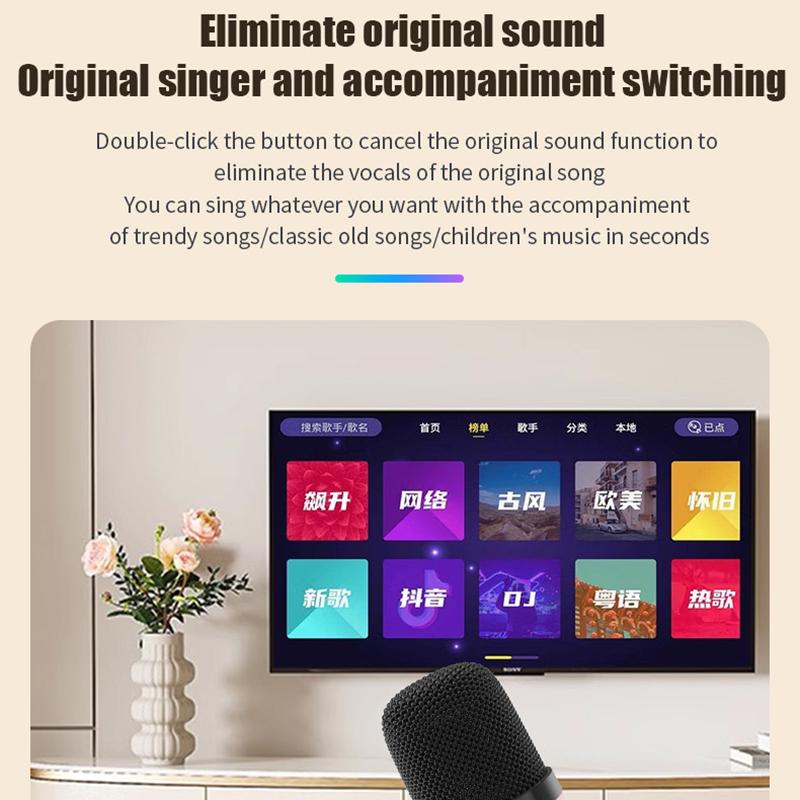 Karaoke Wireless Portable Bluetooth 5.3 Speaker With Microphone RGB Portable Music Player Karaoke Machine for Child Home Gift