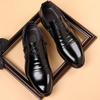 Men's Autumn/Winter Business Casual Leather Shoes with Lion Head Zipper – High & Low Top, Pointed Style
