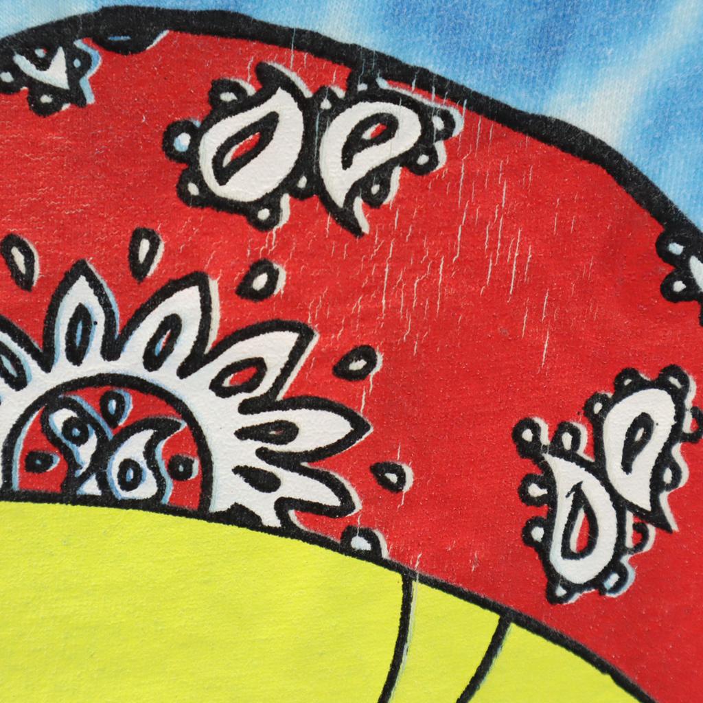 TULTEX 00s Old Looney Tunes Tweety Short sleeve T-shirt L blue Tie-dye Men's Used