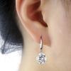 Sale 925 Silver Europe Feather Crystal Fashion Creative Cz Woman Earrings Love Micro Jewelry