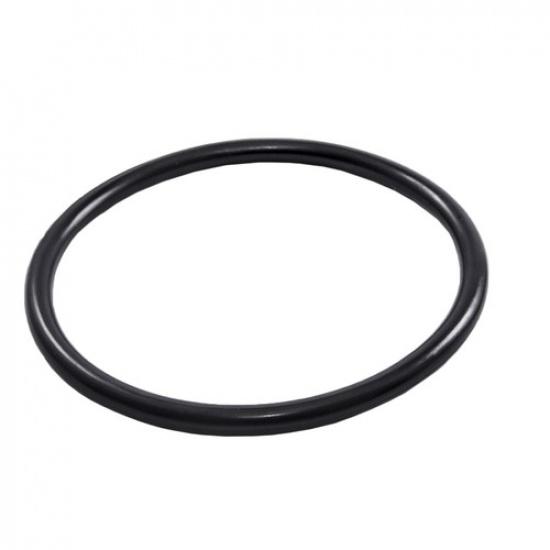 Уплотнительное кольцо датчика уровня топлива OR-2 для Chevrolet Pontiac Uplander Montana