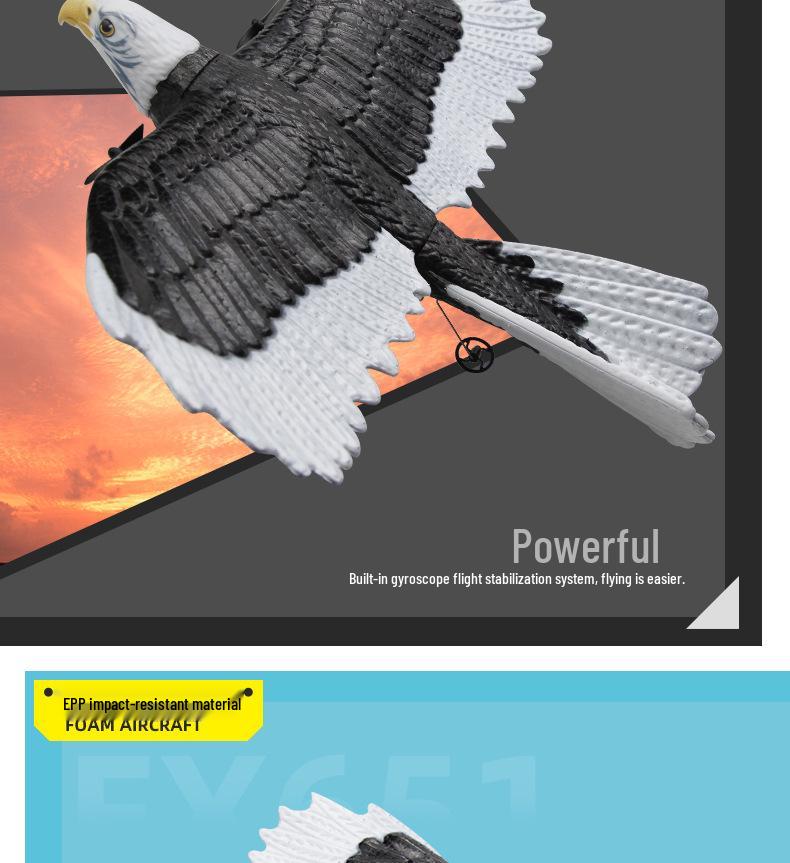 FX651 Remote Control Glider Airplane Toy - Electric Fixed-Wing Eagle for Kids Outdoor Fun